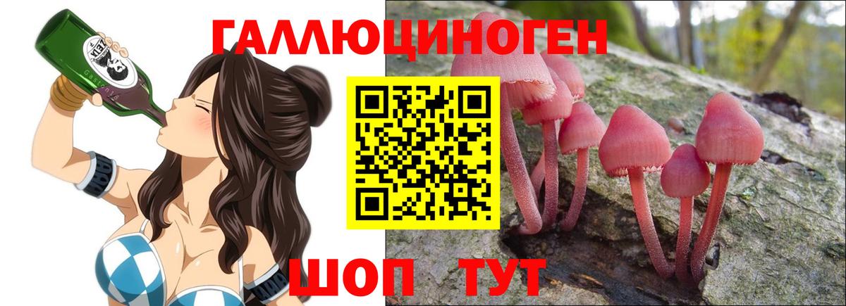 Галлюциногенные грибы Psilocybine cubensis  Псилоцибиновые грибы ЛСД  Вход с VPN  Ставрополь 