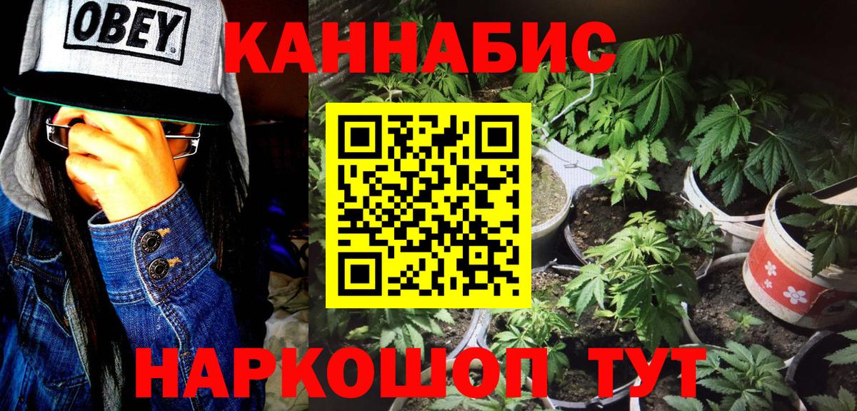 Бошки Шишки Bruce Banner  Каннабис Ganja  Вход с VPN  Ставрополь  Каннабис OG Kush 